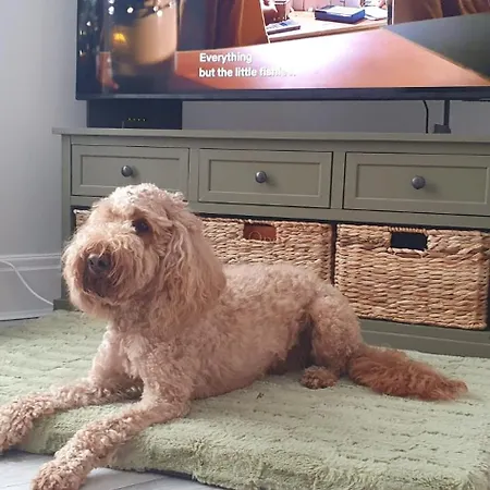Ample Town House In Workington, West Lakes, District